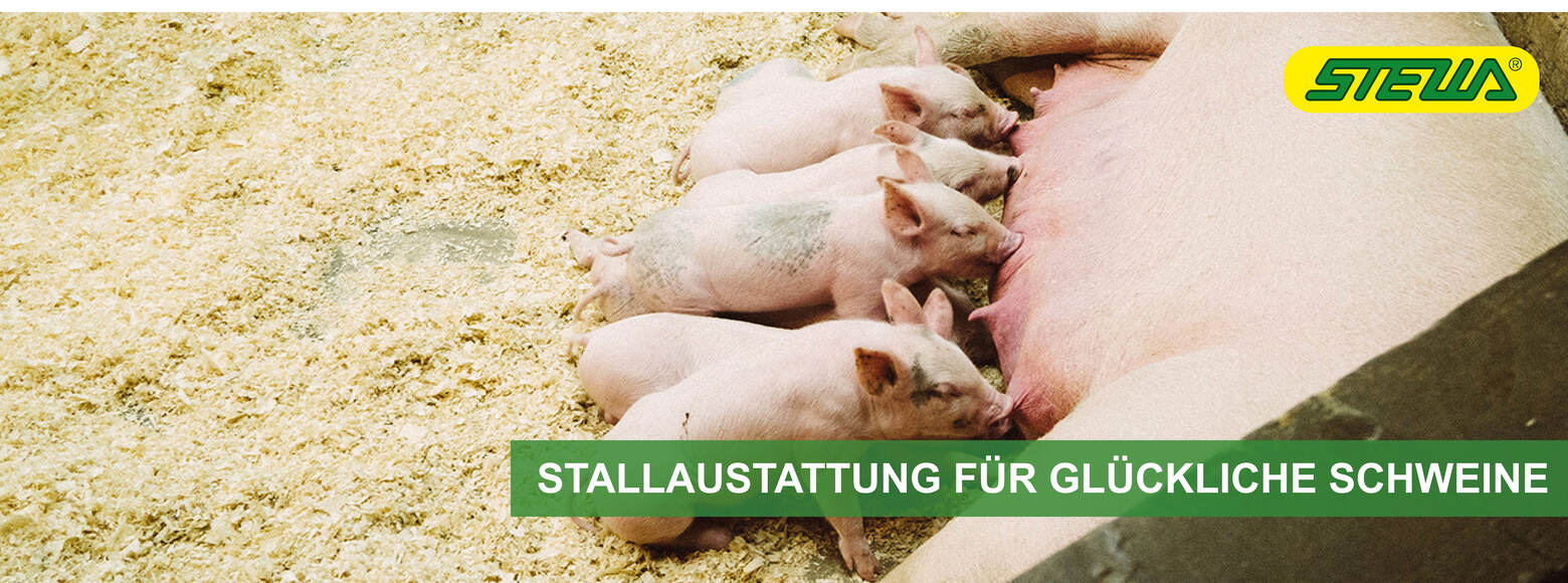 Unsere Stallausstattungen